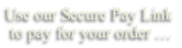 Use our Secure Pay Link